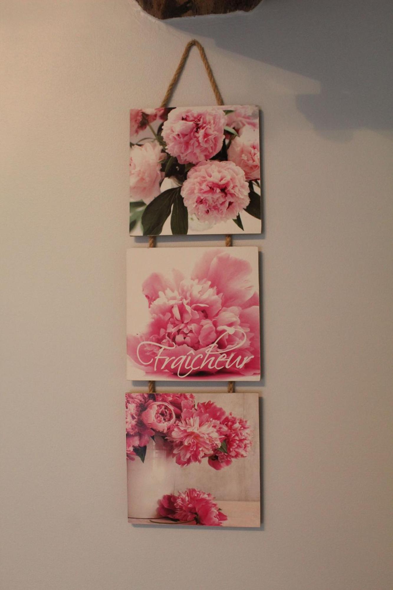 Mérignac La Douce Charentaise Bed & Breakfast エクステリア 写真