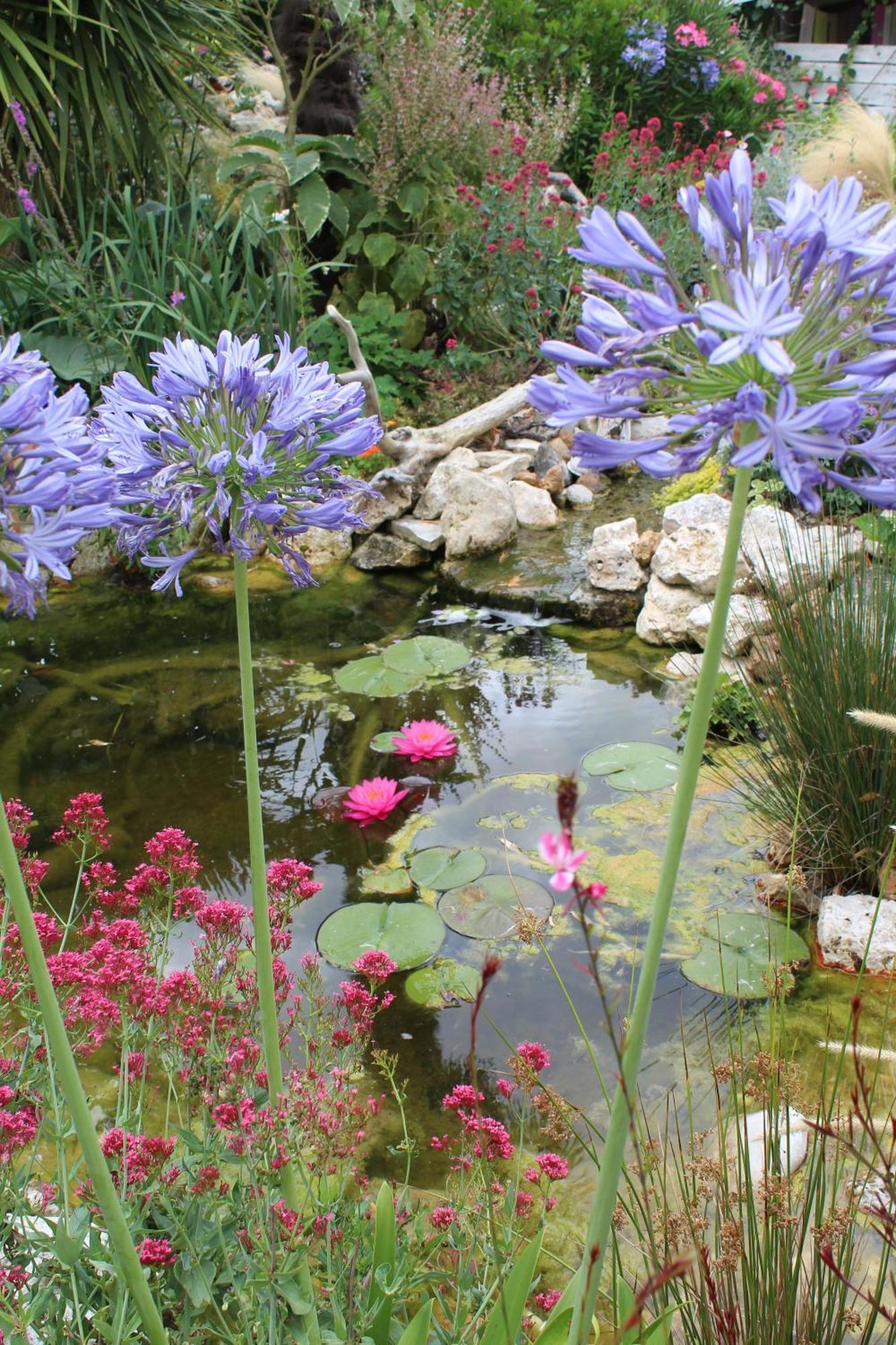 Mérignac La Douce Charentaise Bed & Breakfast エクステリア 写真
